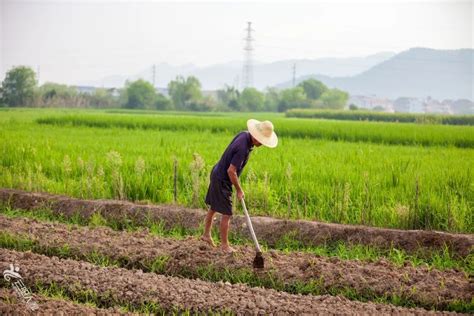 生物耕作（Bio-tillage），可持续农业的新视角 | 土壤与农业可持续发展国家重点实验室