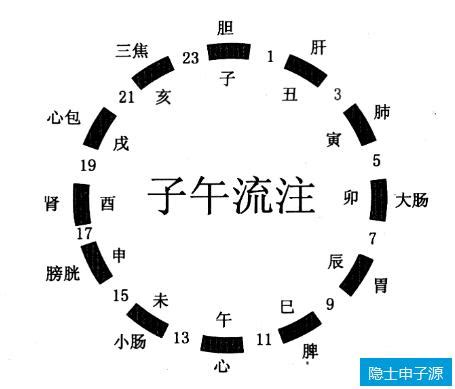 十二生肖排序时间对照 19年出生是什么生肖_生肖_若朴堂文化