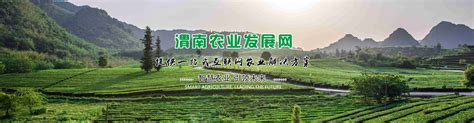 大荔喜获2021年度全省高质量发展“农业强县”-大荔新闻-大荔政法网