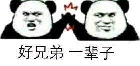 都哥们表情包图片