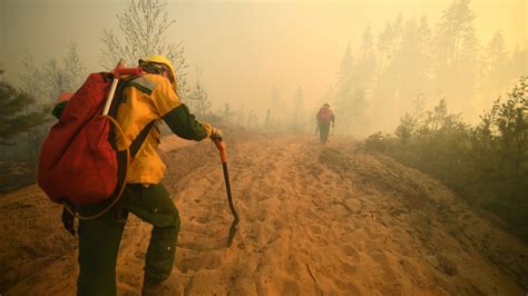 俄罗斯伊尔库茨克州森林中2300公顷的大火被扑灭 - 2022年5月15日, 俄罗斯卫星通讯社