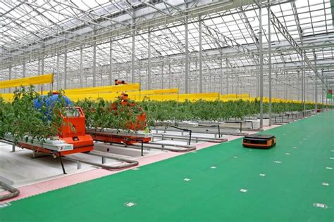 中国农业的“寿光模式” 建设现代农业示范区_山东频道_凤凰网