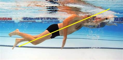 游泳技巧丨为什么你的腿总是会下沉？_清水