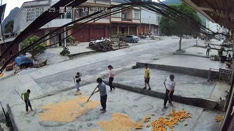 即将下雨，邻居带着孩子帮独居老人抢收晾晒的玉米_凤凰网视频_凤凰网