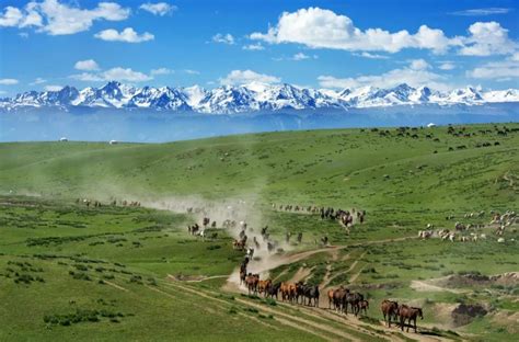 大美新疆8日自由行-伊犁旅游攻略-游记-去哪儿攻略