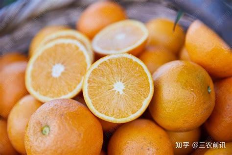 辰颐物语“甜满中国”麻阳冰糖橙产地溯源之旅即将开启！ - 知乎