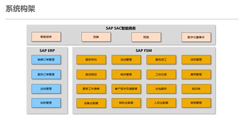 SAP共享服务中心-SAP共享服务解决方案 - 九慧信息