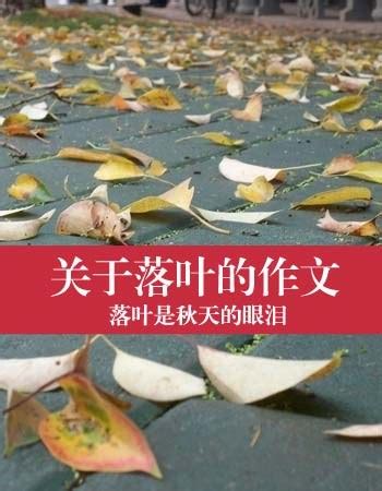 【关于落叶的作文】描写落叶的作文_秋天的落叶作文_太平洋亲子网