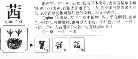 “茜”字在人名中念qian还是xi？