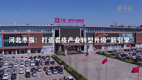 河北枣强：打造裘皮产业转型升级“新引擎”_凤凰网视频_凤凰网