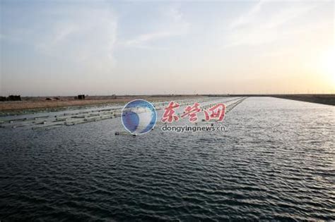 10月27日，桂林五里店果蔬批发市场水产区正式开业-桂林生活网新闻中心