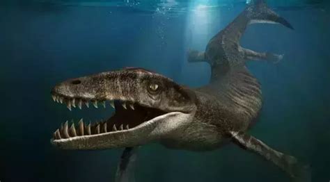 十大最凶猛史前海洋怪兽, 排名第一的毫无争议|三叠纪|滑齿龙|鱼龙_新浪新闻