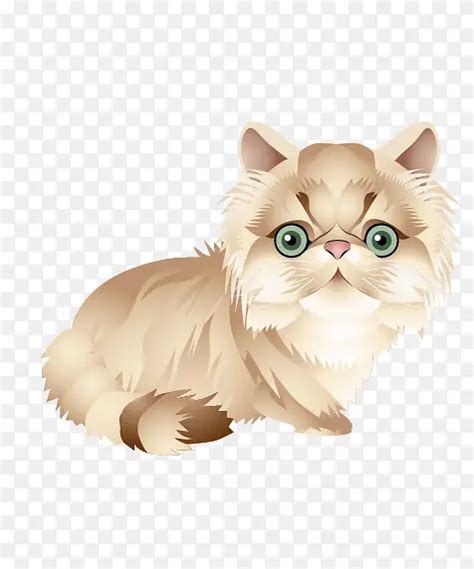 大花猫图片