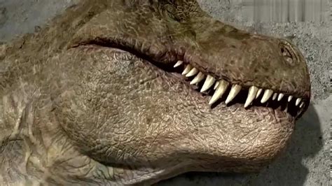 侏罗纪公园，棘龙对决霸王龙_腾讯视频