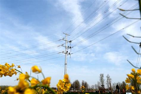 浙江宁波供电公司：高效完成节前最后一个110千伏停电作业|界面新闻