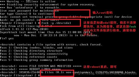 linux文件系统崩溃怎么办？,Linux 文件系统崩溃修复 电脑维修技术网
