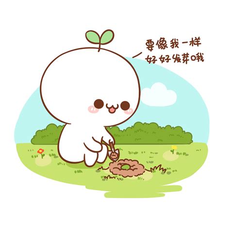 长颜草团子图片