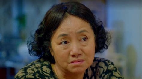 中国式关系家庭电视剧演员表 中国式关系的简单介绍_知秀网