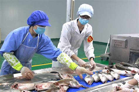 广东顺欣海洋渔业集团有限公司