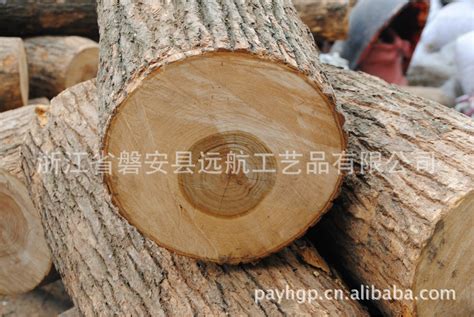 这么多因素会导致树皮开裂，苗木养护不能轻视！-种植技术-中国花木网