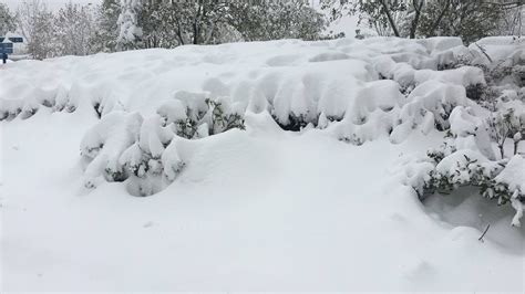 特大暴雪！局地积雪已超65厘米