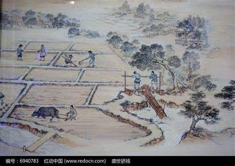 老照片：1982年的中国农村 农民伯伯种田好辛苦