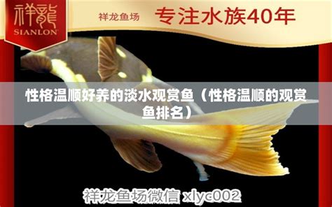 北京观赏鱼市场排名前十名有哪些地方在卖（北京观赏鱼市场排名前十名有哪些地方在卖鱼） - 观赏鱼市场（混养鱼） - 广州观赏鱼批发市场