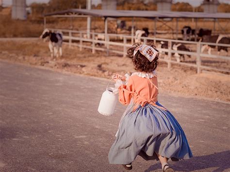 农村的牛和牛高清图片下载-正版图片507190509-摄图网