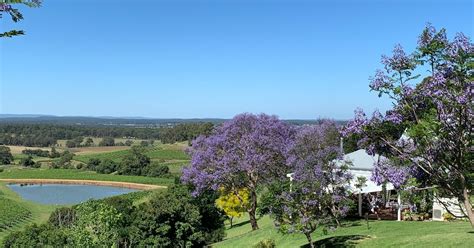 Private Hunter Valley tour with lunch | musement