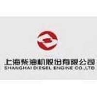 上海新动力汽车科技股份有限公司 - 主要人员 - 爱企查