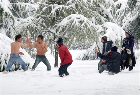 北方多省区遭暴雪袭击后景象:积雪比人高(组图) - 北方网