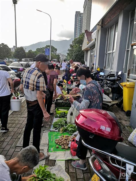 【主题公园移动摆摊车 户外步行集市摊位花车 广场移动餐车】价格_厂家-供应商网