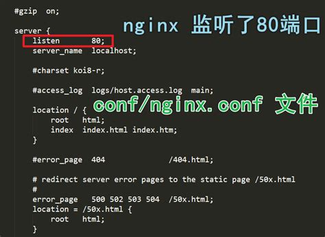 nginx-1.18.0下载 - 运维派