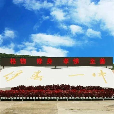 黑龙江省伊春卫生学校2023年招聘信息 - 职教网