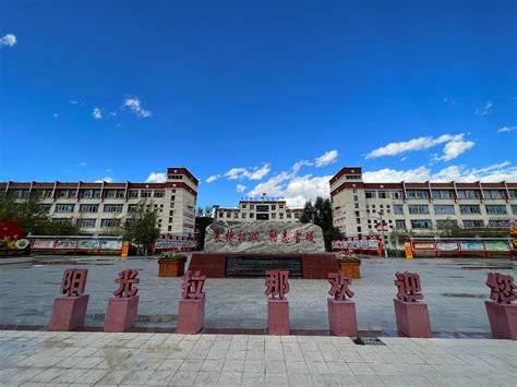 西藏拉萨市达孜区：油菜花开 景美如画_荔枝网新闻