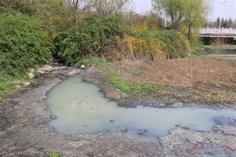 枣庄路-滨州路沙墩河污染排放该治理了 - 日照论坛2016年度贴文归类 - 大众论坛