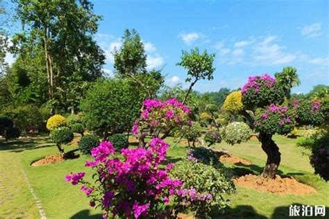 西双版纳热带植物园,自然保护景区,旅游景点,摄影素材,汇图网www.huitu.com