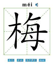 梅的意思,梅的解释,梅的拼音,梅的部首,梅的笔顺-汉语国学