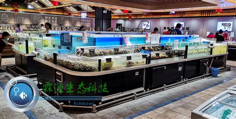 生鲜超市鱼缸及超市海鲜池设计 —— 教您如何打造超市水产区域-闲时充电-