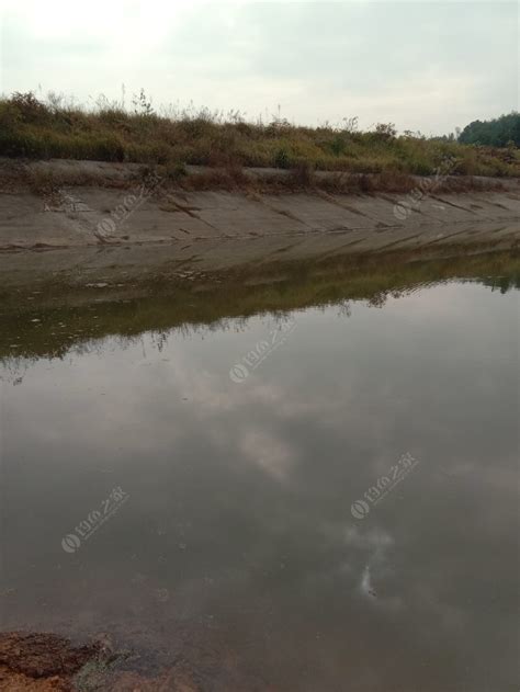 段胡村高家水库_段胡村高家水库地址_段胡村高家水库电话 - 钓鱼人