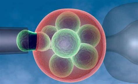干细胞正在彻底颠覆传统医学！今天，《干细胞制剂制备与质检行业标准（试行）》在上海发布