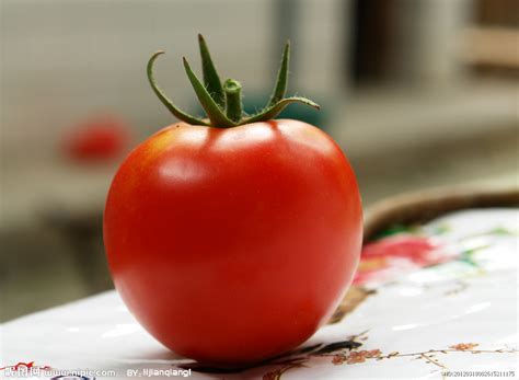 西红柿 | 美食摄影|摄影|产品摄影|摄影师MrWang_原创作品-站酷ZCOOL