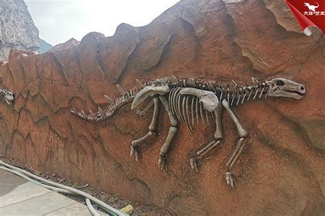 “恐龙在‘浙’儿——浙江出土恐龙化石展”在苏州博物馆开展 - 化石网