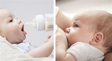 婴儿吃奶瓶哭闹挣扎（宝宝吃奶时总是哭闹不休）-幼儿百科-魔术铺