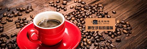 四川咖啡厅加盟_半自动|全自动咖啡机_奶茶店设备租赁-成都色尔咖啡公司