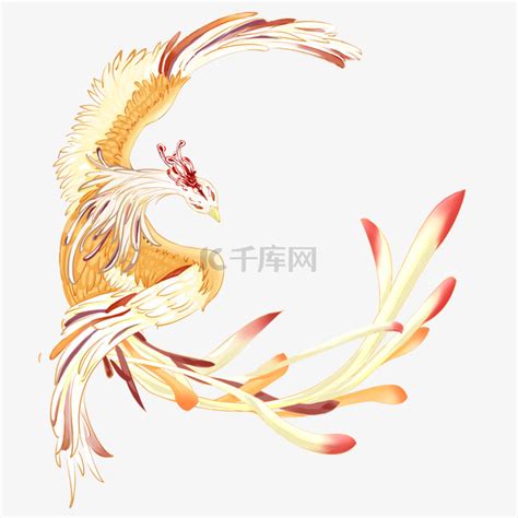 凤凰神图片