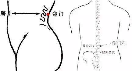 18个痛点的准确位置图图片