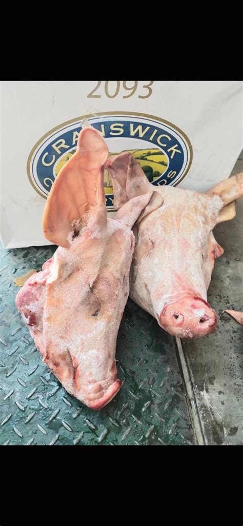 德国202猪头冷冻猪胫骨冷冻猪头皮冷冻猪肚 价格:8000元/吨
