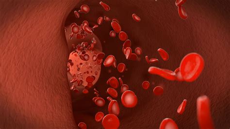 血管血液人体模型动画三维素材素材模板下载-版权视频可商用494526-潮点视频