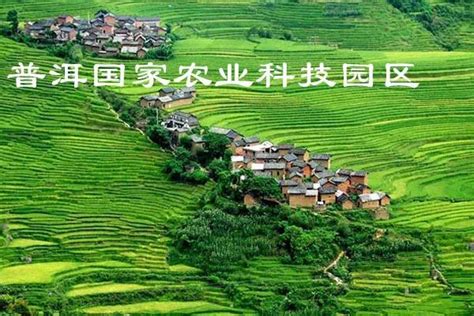 茶中“国潮” 帝泊洱创新打造中国科技茶饮-新华网
